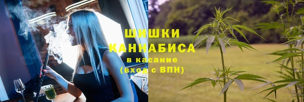 крисы Зеленодольск