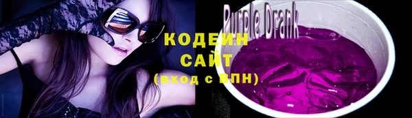 крисы Зеленодольск