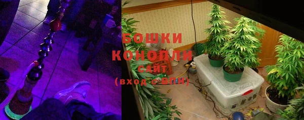 крисы Зеленодольск