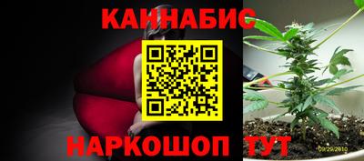 гидра Аргун