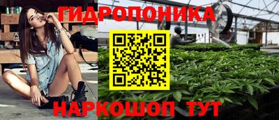 гидра Аргун
