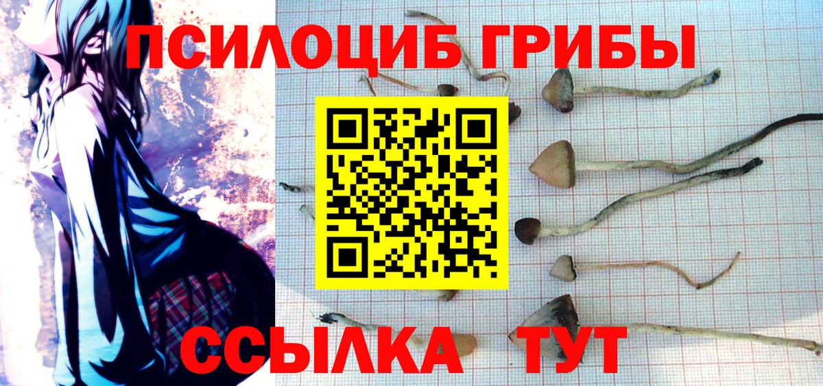 Псилоцибиновые грибы Magic Shrooms  даркнет сайт  Таганрог  Вход с VPN 
