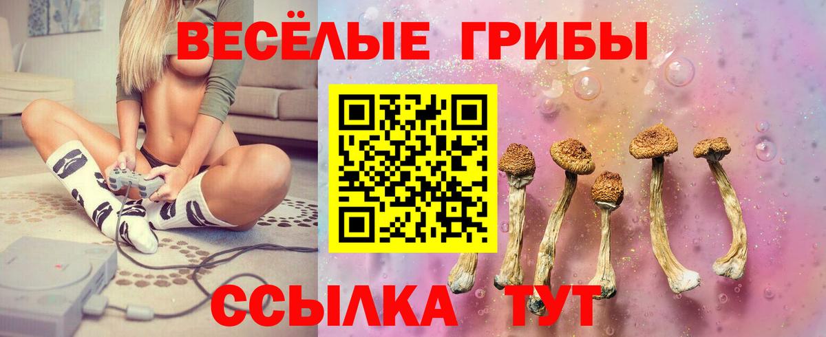 Таганрог  Псилоцибиновые грибы Magic Shrooms  Вход с VPN  Галлюциногенные грибы мицелий 